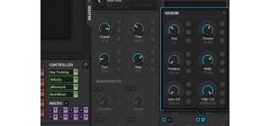 iris-2-side-by-sides-reverb