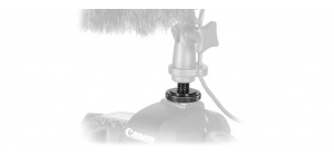 qbs_inaction-s-1024x426